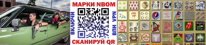 блэк спрут   Стародуб  Марки NBOMe 1,8мг  где продают наркотики 