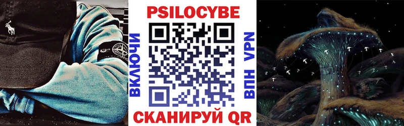 дарнет шоп  Стародуб  Галлюциногенные грибы Magic Shrooms 